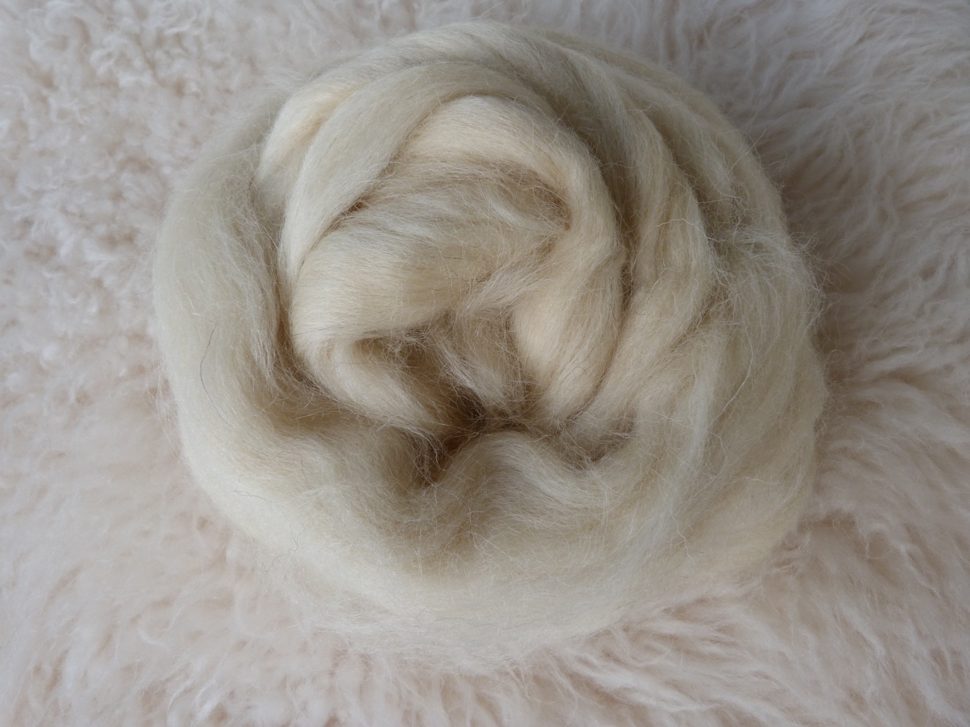 Witte van het Gotlandschaap E06 - Natuurlijke lontwol - schapenvachtenlifestyle.nl |groot schapenvacht, lontwol en viltproducten assortiment
